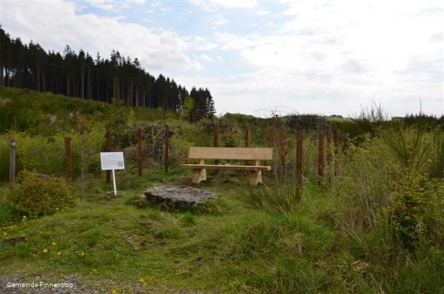 Bank am Hexenstein im Wald östlich von Schöndelt